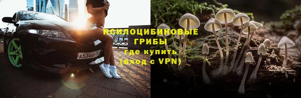 индика Арсеньев