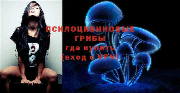 первитин Армянск