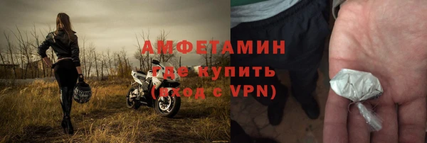 индика Арсеньев