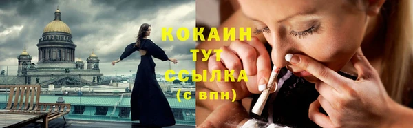 индика Арсеньев