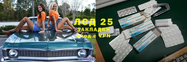 индика Арсеньев