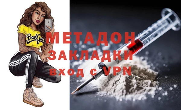 индика Арсеньев