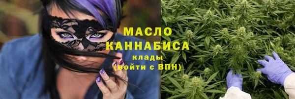 индика Арсеньев
