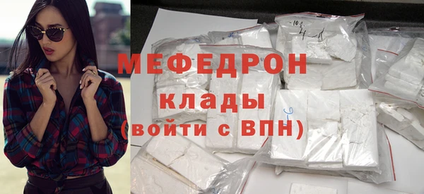 индика Арсеньев