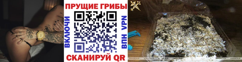 Галлюциногенные грибы мицелий Островной